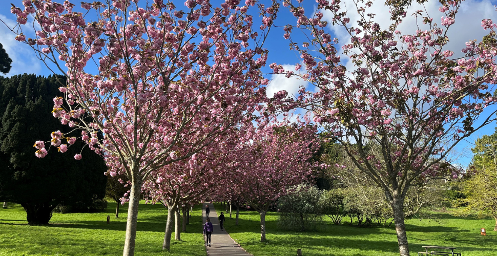 Elizabethan Gardens in Plymouth